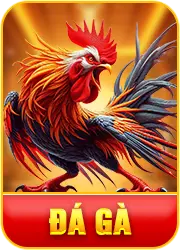 Đá gà TIC88